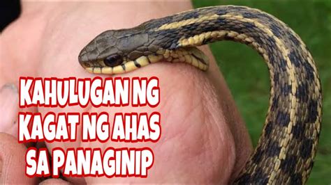 kinagat ng ahas sa kaliwang kamay sa panaginip